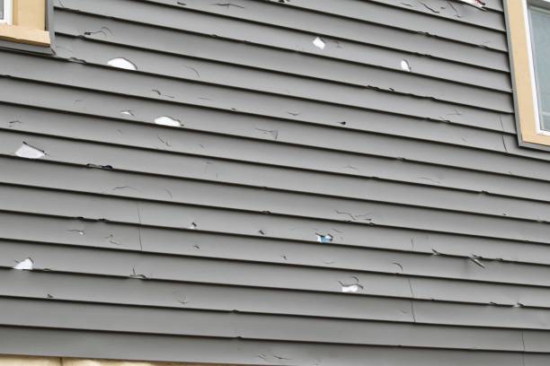 Best Custom Trim and Detailing for Siding  in North Edwards, CA